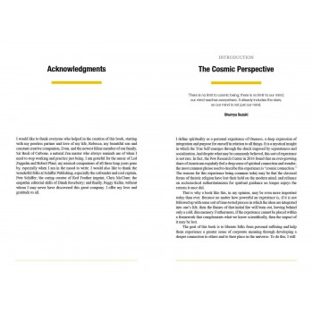 The Three Principles of Oneness Knyga Schiffer Publishing